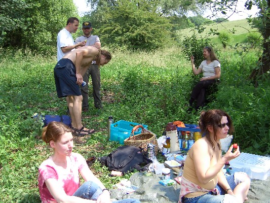 04.jpg