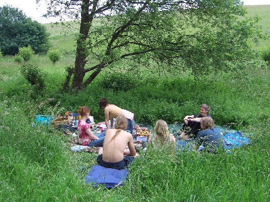 06.jpg
