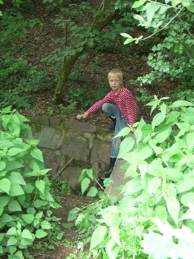 08.jpg