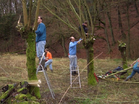 09.jpg