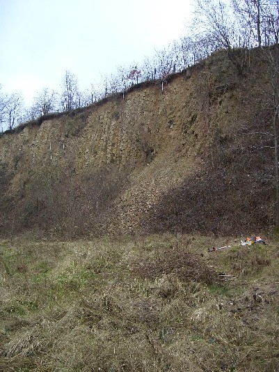 05.jpg