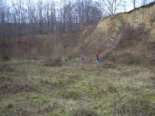08.jpg