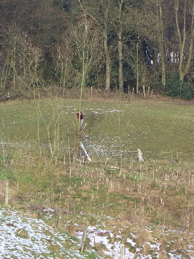 02.jpg