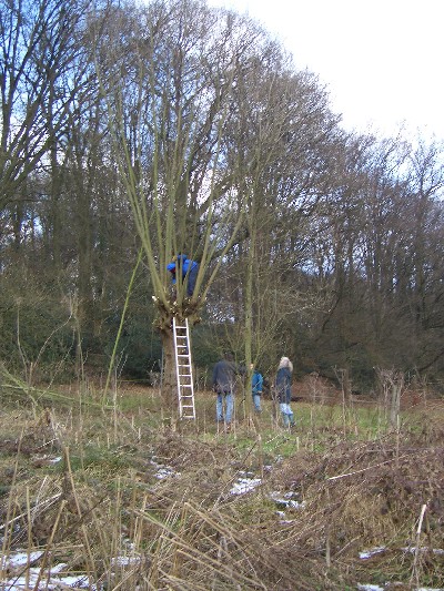 04.jpg