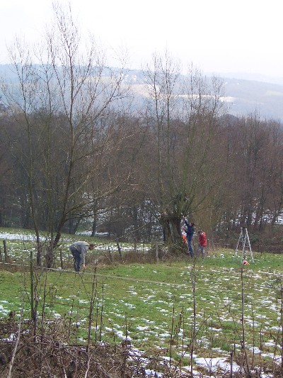 05.jpg